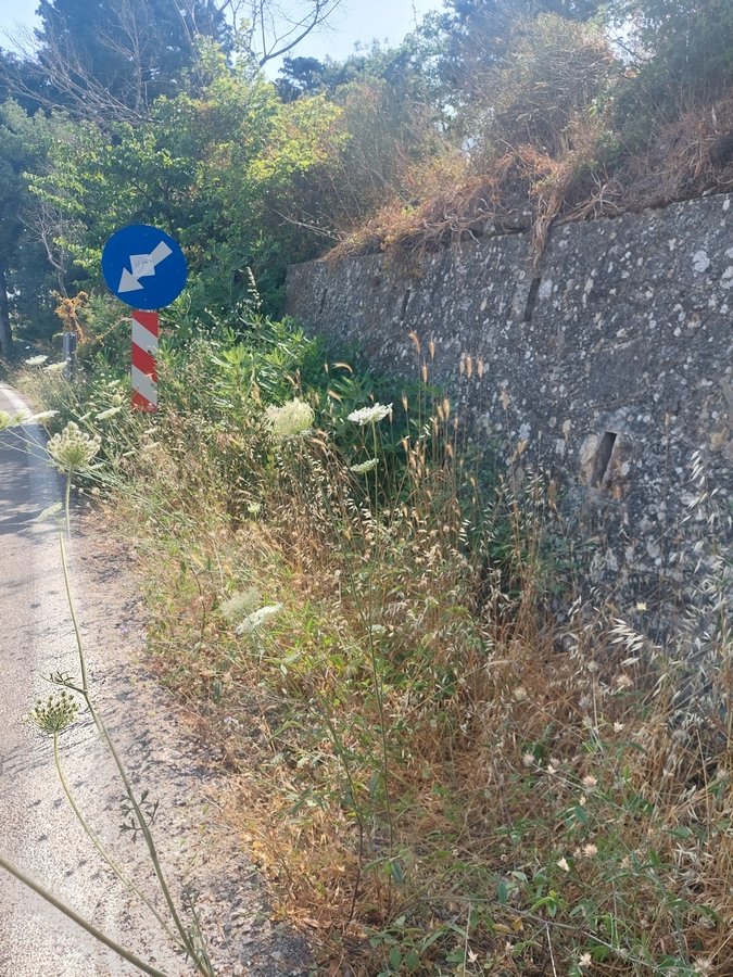 20220623_095909.jpg