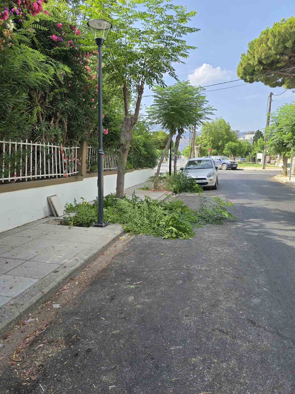 2024 7 05 οδοφωτισμός Φαιναρέτης (3).jpg