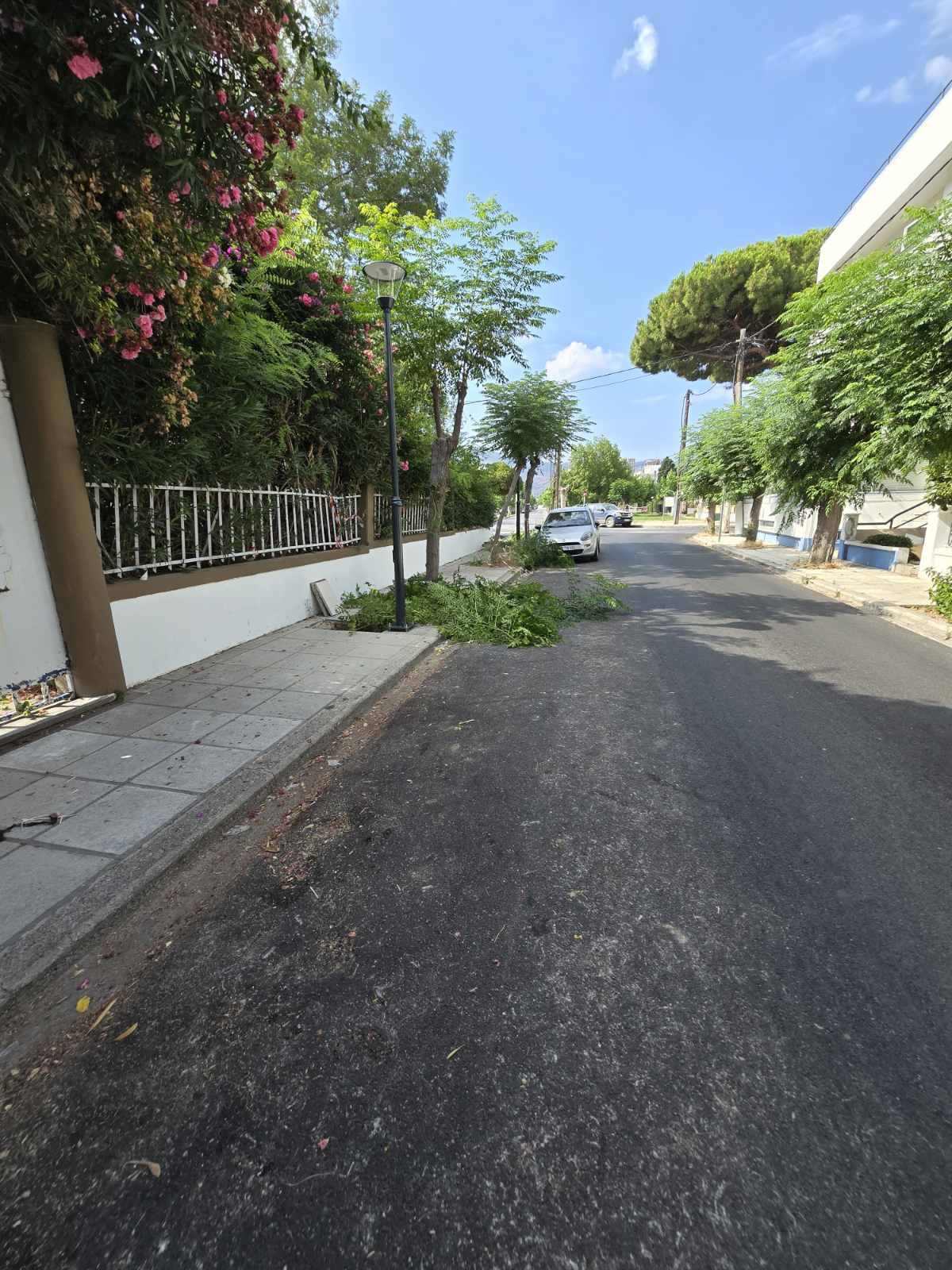 2024 7 05 οδοφωτισμός Φαιναρέτης (5).jpg