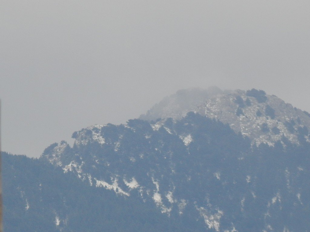 DSCN7120