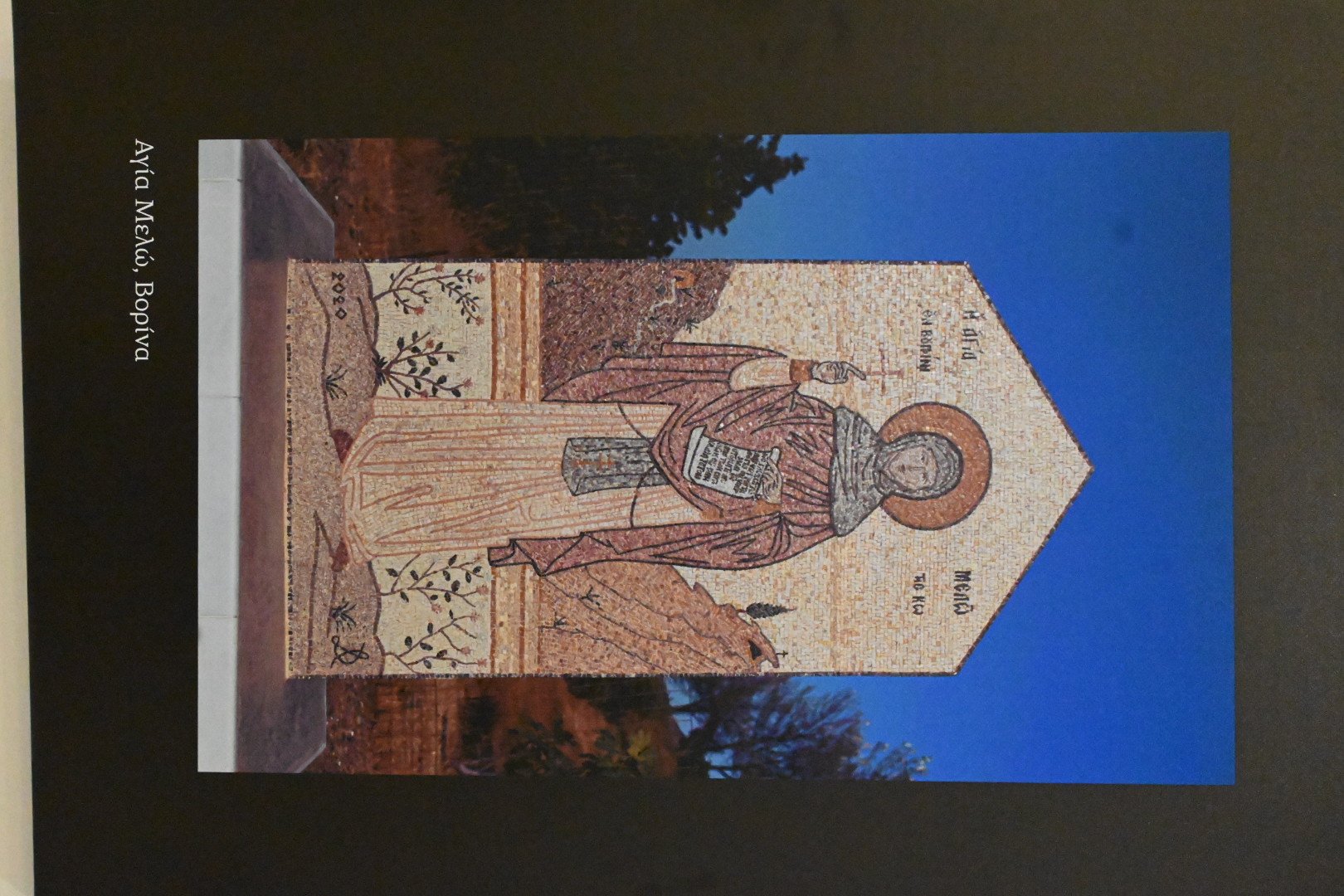 DSC_3860_2.JPG