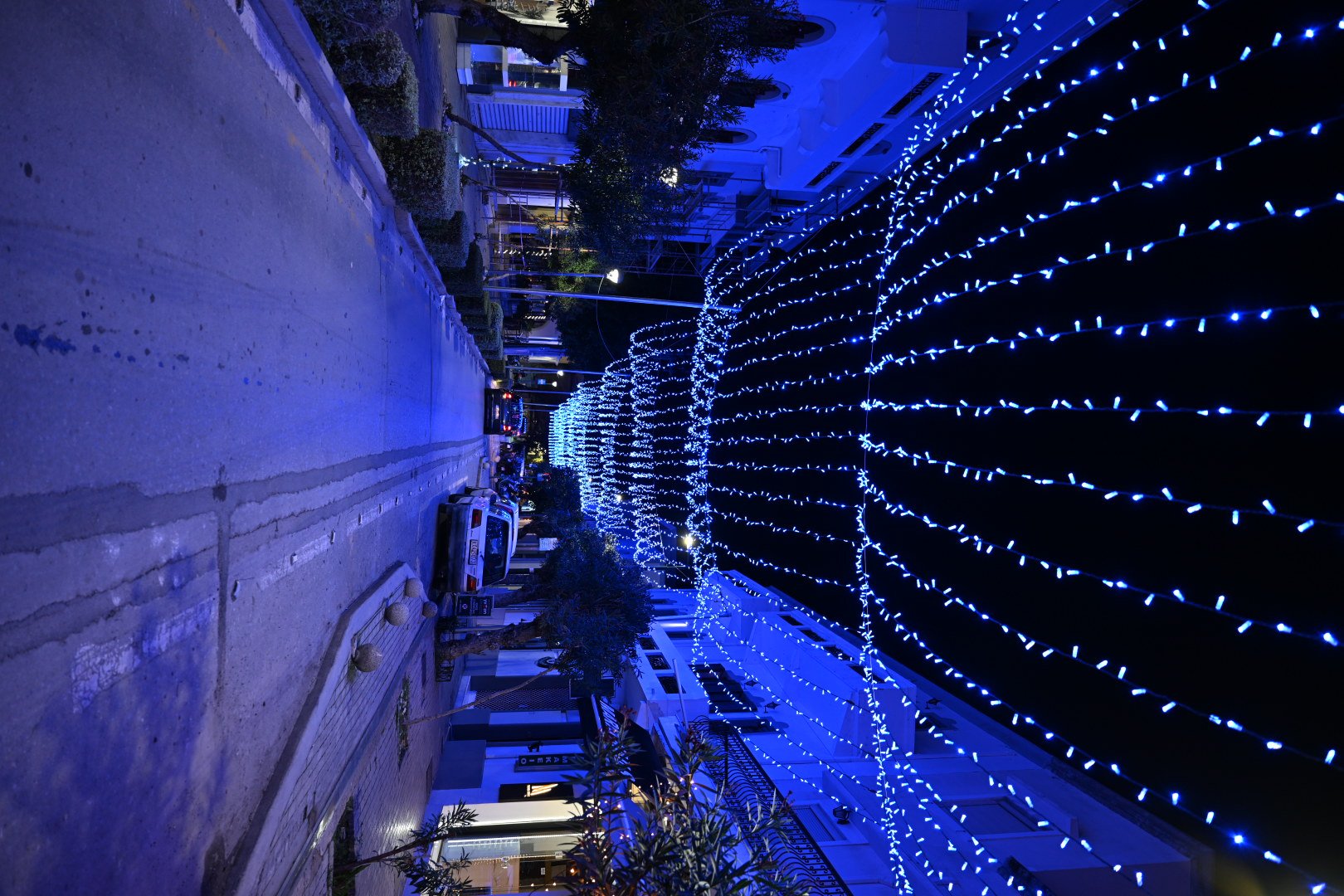 DSC_7320.JPG