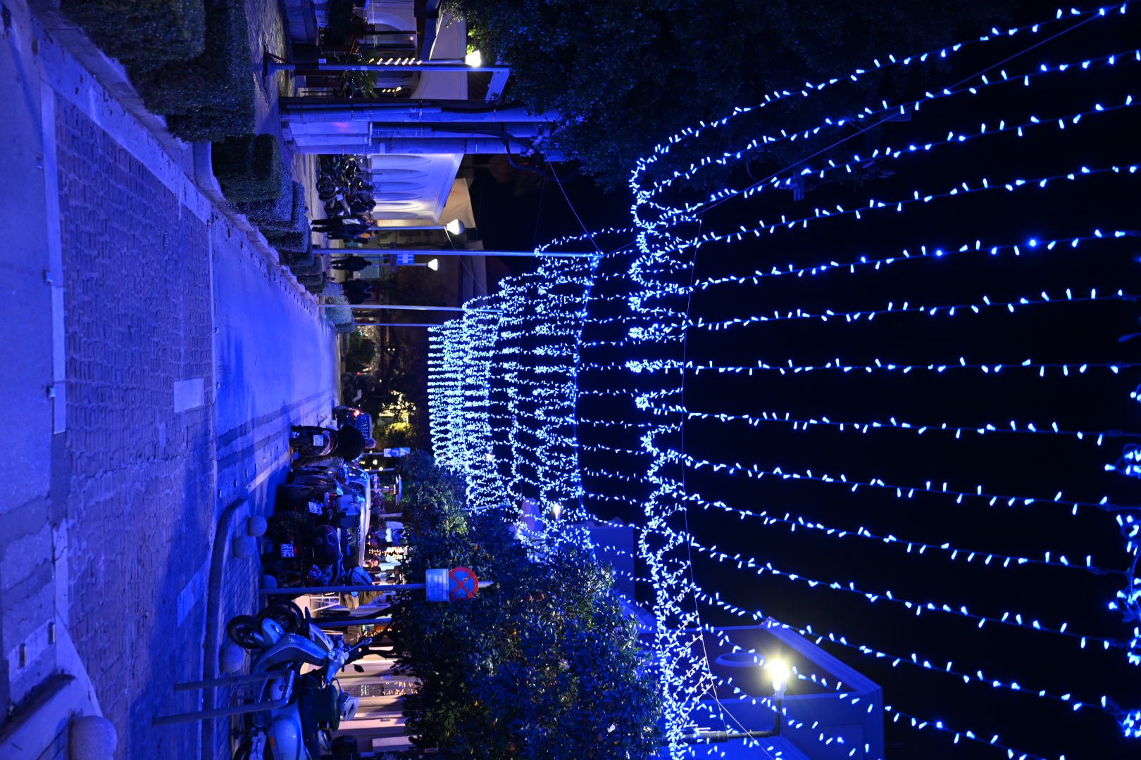 DSC_7328.JPG