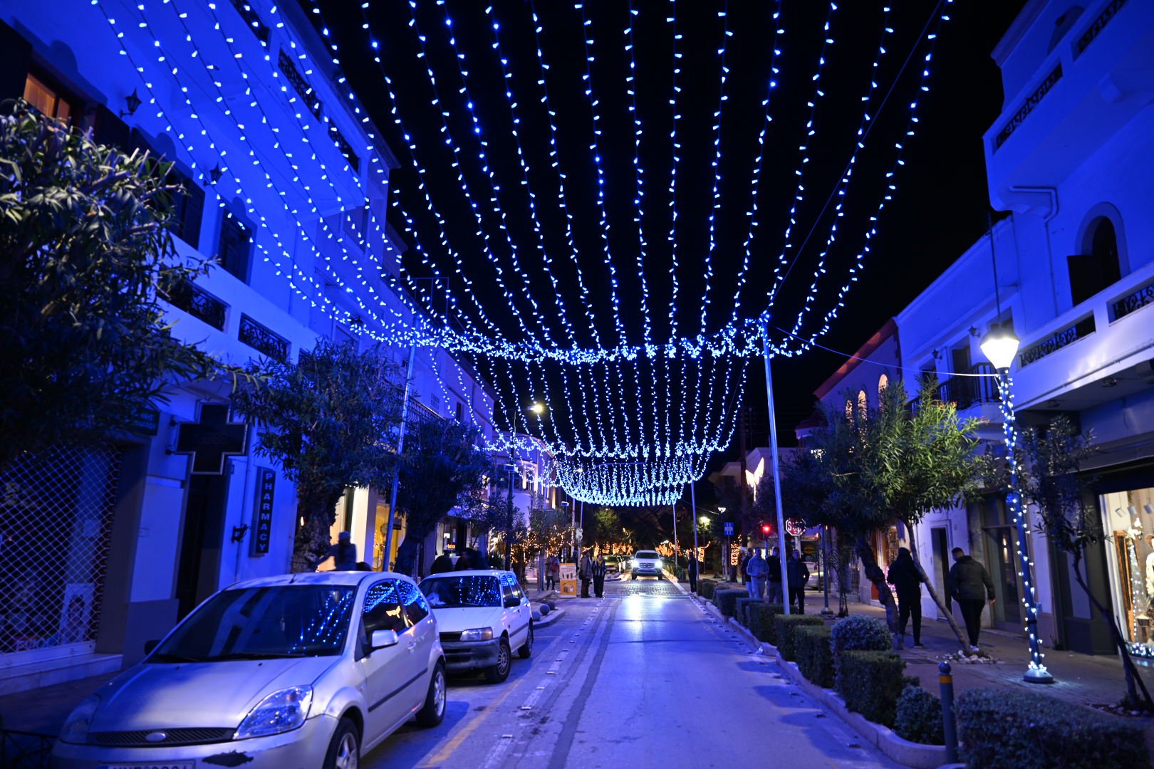 DSC_7330.JPG