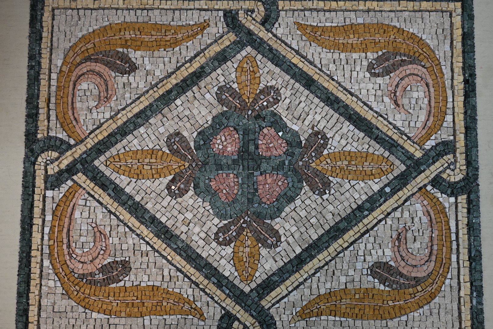 DSC_8241.JPG