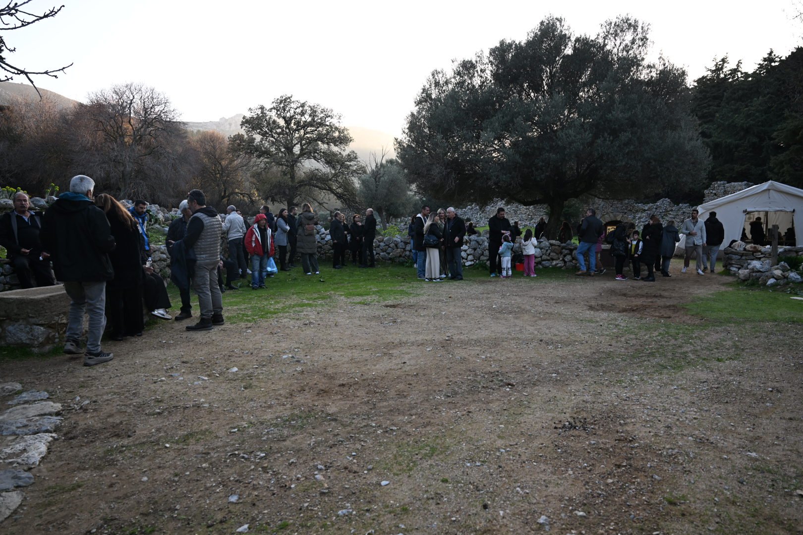 DSC_9226.JPG