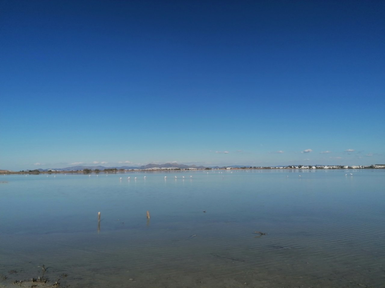 IMG_20230202_145817.jpg
