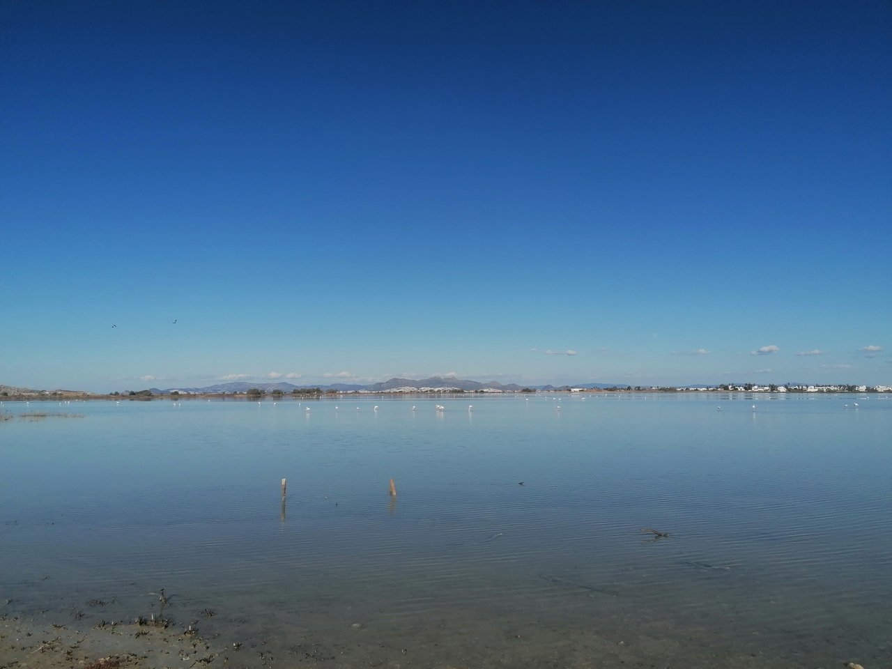 IMG_20230202_145825.jpg