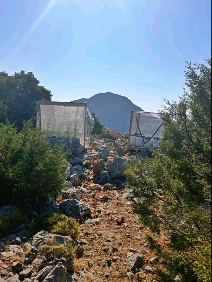 SYLLHPSH FYTEIA KANNABHW KALYMNOS F0.jpg