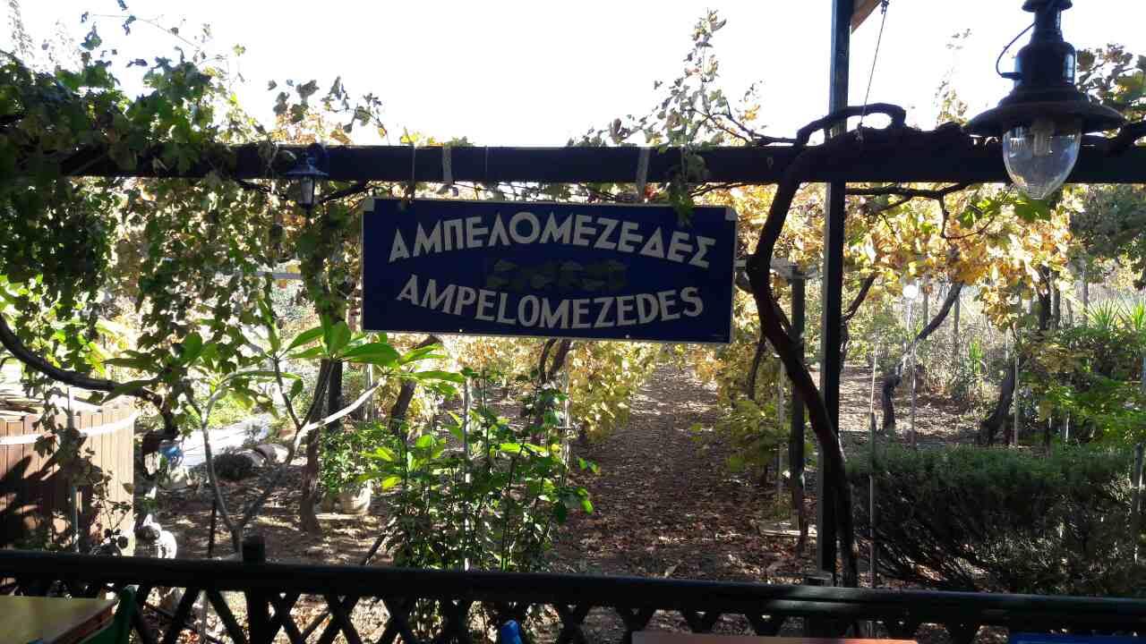 ampelo