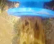 apol2