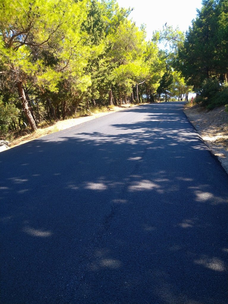 photo 3 (2).JPG