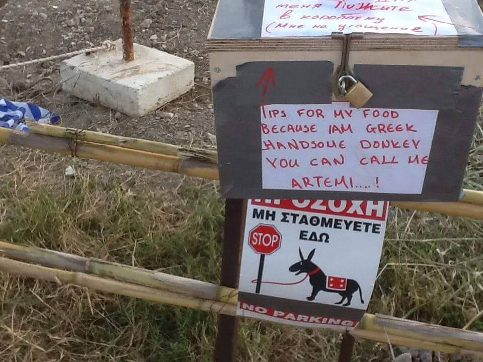 tigkaki1